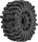 PRO1023710.jpg