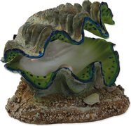 Dekorácia Aqua Excellent Mušľa vzduchovacia 12x10x5,5cm