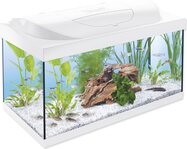 Aquarienset Tetra Starter Line LED weiß 60x30x30cm 54l