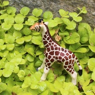 jkxfuvpwv33yvxxwswmu_1080x1080_crop_center.jpg