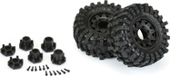 PRO1023710-02.jpg