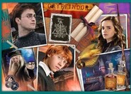 Trefl Puzzle 10v1 -  Vo svete Harryho Pottera
