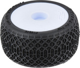 PRO1031513-01.jpg