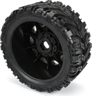 PRO1017611-03.jpg