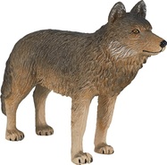 AP387025_1.jpg