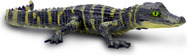 Safari® Alligator mláďa