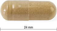 IP4419-01.jpg