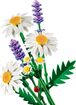 LEGO_11508_WEB_SEC01_NOBG_en-gb.jpg