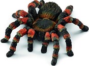 Schleich Pavúk - Vtáčkar