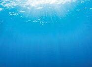 24dacac5db93bc779481a7c02d757d55.jpeg