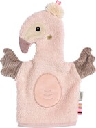 Žinka plameniak, Pink