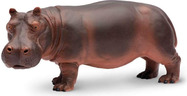 Safari® Hroch