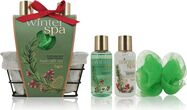 ACCENTRA Set za kupanje Winter Spa u žičanoj košari Zimsko voće 2x 100ml + 1x 10g
