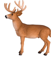 387038_1.animal.jpg