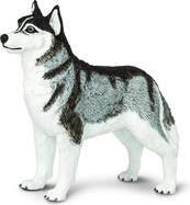 Safari® Sibírsky husky