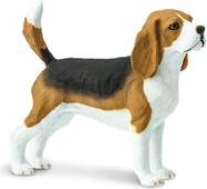 Safari® Pes Beagle