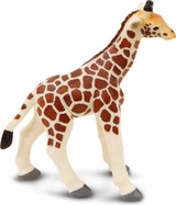 kcegf8flrgrnjqlnzfiu_1600x1600_crop_center.jpg
