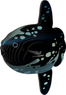 2b512e446b0b80a00ebdfb75064492ba.png