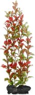 Dekorácia Tetra Rastlina Red Ludwigia L 30cm