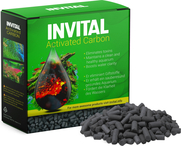 INVITAL Activated Carbon - aktívne uhlie 500 g