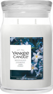 YC Signature Kerze Groß Midnight Jasmine