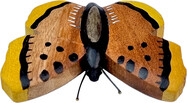2D98073_4.jpg