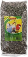 Slnečnica Avicentra žíhaná 1kg