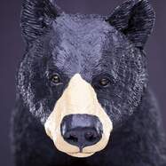 8cce6d651bb7ab01362dbd0a52ba74216560db47_1000x1000_crop_center.jpg
