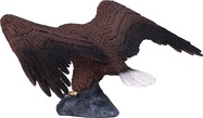 MJ387027_1.jpg