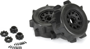 PRO1026810-03.jpg