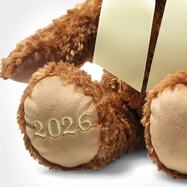 cosy-jahresbaer-2026-114175-3.jpg