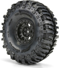PRO1013310-04.jpg