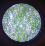 J06303_R01_9.jpg