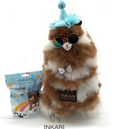 1Birthday_Set_Plush_IMG_1712_3000x.jpg