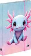 Caja para cuadernos A5 Axolotl