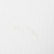 d468151c96b3a06e33e4928fa6d45d4f.jpg
