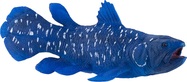 Mojo Coelacanth
