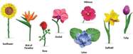 20e39d40f93b33eeabf41a3bb26a7bb9febbb2c2_1000x1000_crop_center.jpg