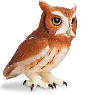 Safari_Eastern_Screech_Owl_Jumbo_263429b__04608.jpg