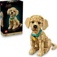 LEGO® Icons 11384 Štene zlatnog retrivera