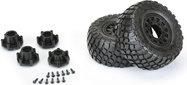 PRO1012310-03.jpg