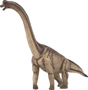 Mojo Brachiosaurus