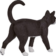 387200_Cat_5.jpg