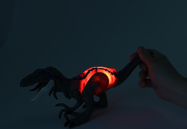 251335-3.jpg