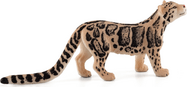 Mojo-Leopard lauert