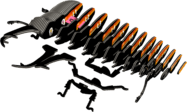 4fe382a95d0460790c1cfc92a167efa2.png