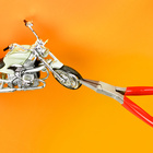 PPL1151_Bike.jpg