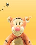 024535-1.jpg