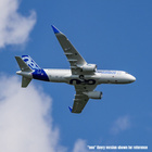 EFL-1495-04.jpg