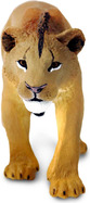 ezgif-6f28617add546fe2.jpg